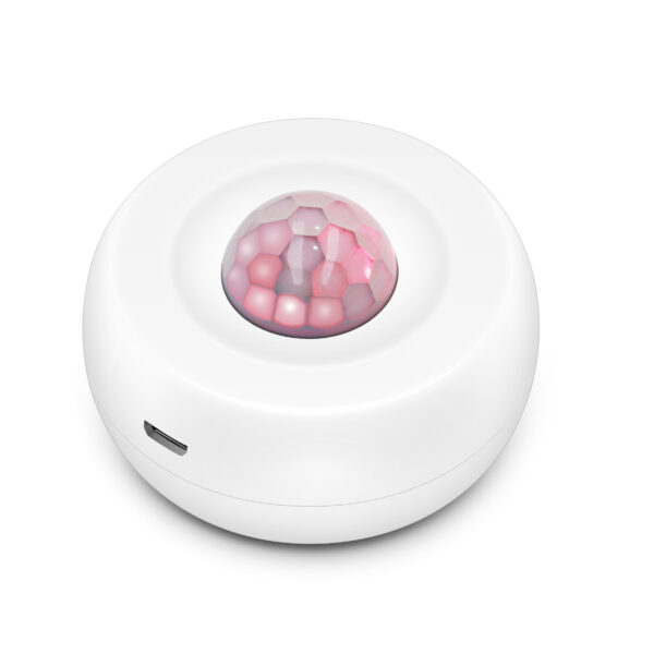 Tuya hərəkət detektoru